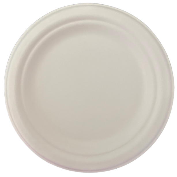 10” Plates 6 Pack