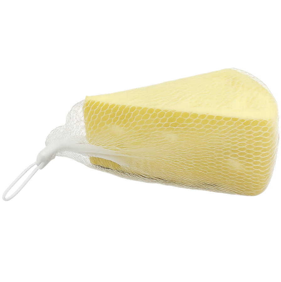 Cheese Squishy Toy