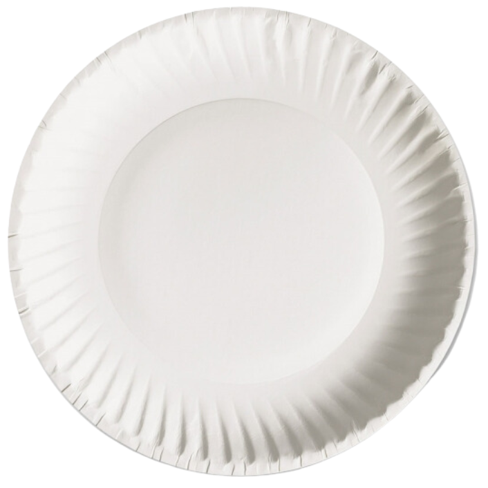9” Paper Plates 25 Pack