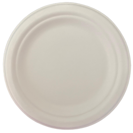 10” Plates 6 Pack