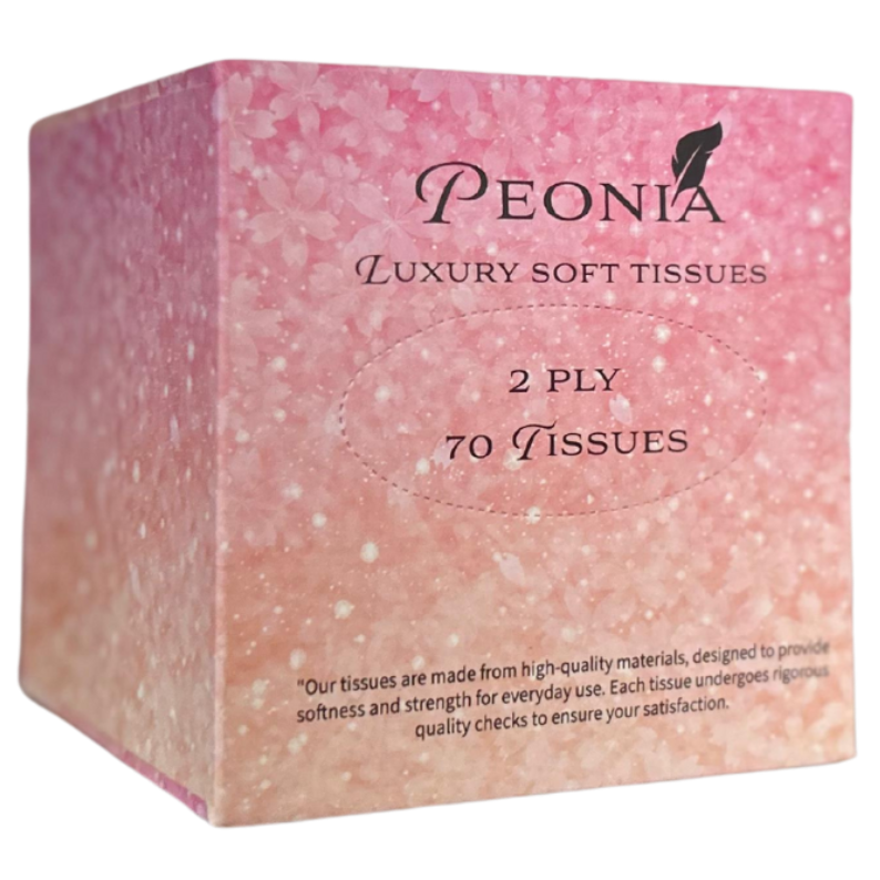 Cube Box Tissue 70 Sheets 2 Ply