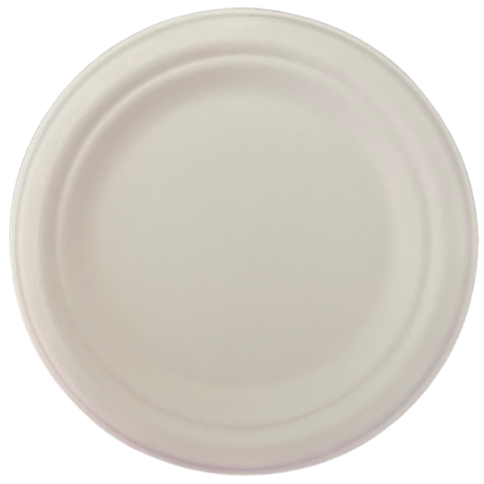 9” Bagasse Plates 10 Pack