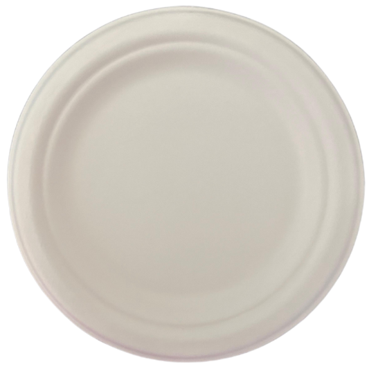 9” Bagasse Plates 10 Pack