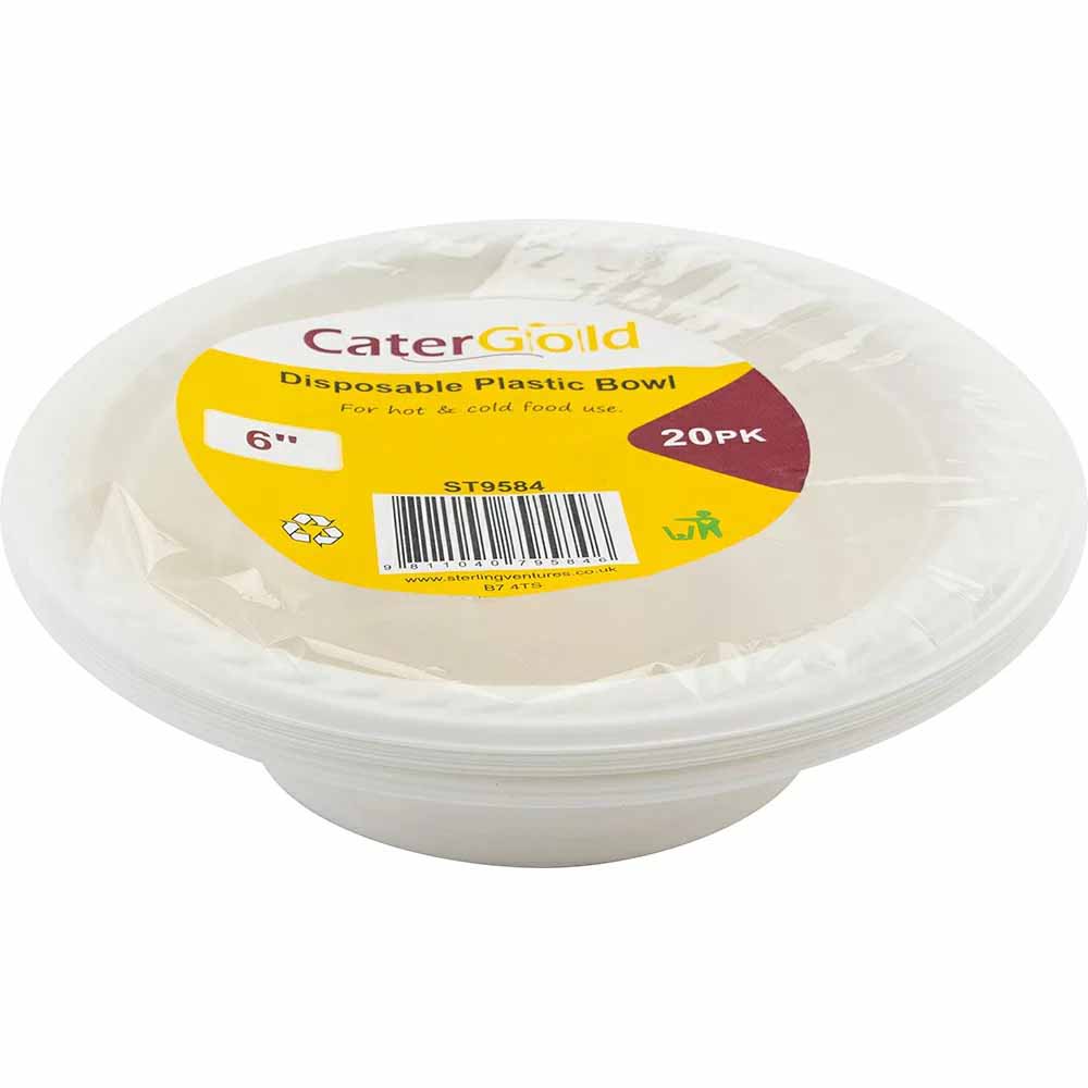 Reusable Plastic Bowl 6" 20pk